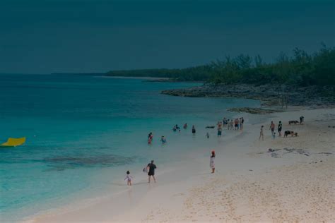 sandy toes, bahamas|Sandy Toes Excursion